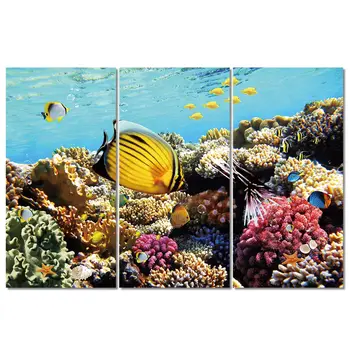 HD Печатна морски риби, корали, делфин, картина, платно, печат декор на стаята, печат на плакат, картина, платно, Безплатна доставка/ny-6415C