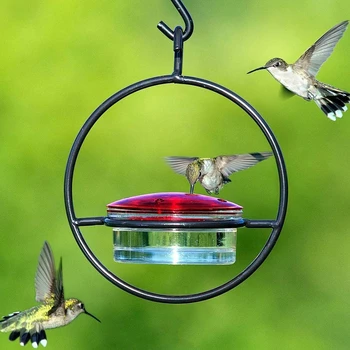 Градинска фидер колибри привлича птици, пияч за колибри, защита от мравките и пчелите за външна градина, тераса във вътрешния двор на двор
