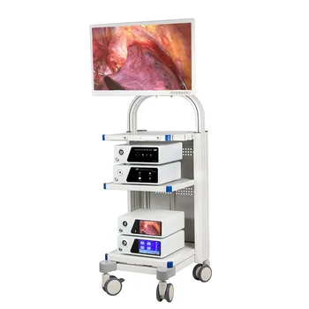 Медицинска ендоскопска система 4K UHD с диагонал 55 инча за лапароскопия