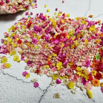 Направи си Сам 100шт Сушени Цветя Корона Хризантеми Ръчно изработени За Декорация на Нокти