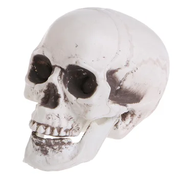 Пластмасов Човешкия Мини-Череп Decor Prop Skeleton за Главата Хелоуин Coffee Bars Orna J60A