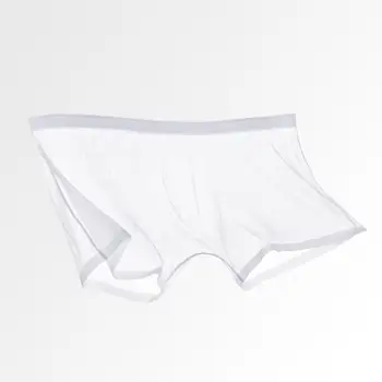 Прозрачни мрежести къси панталони, чорапогащи, Дишащи безшевни Секси мъжки мрежести къси панталони, Тънки прозрачни пликчета с надпис for Any